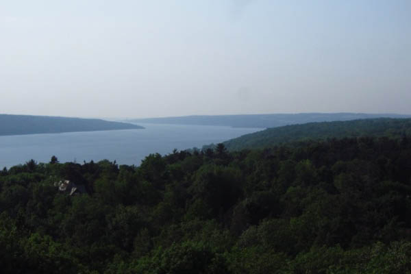 cayuga
